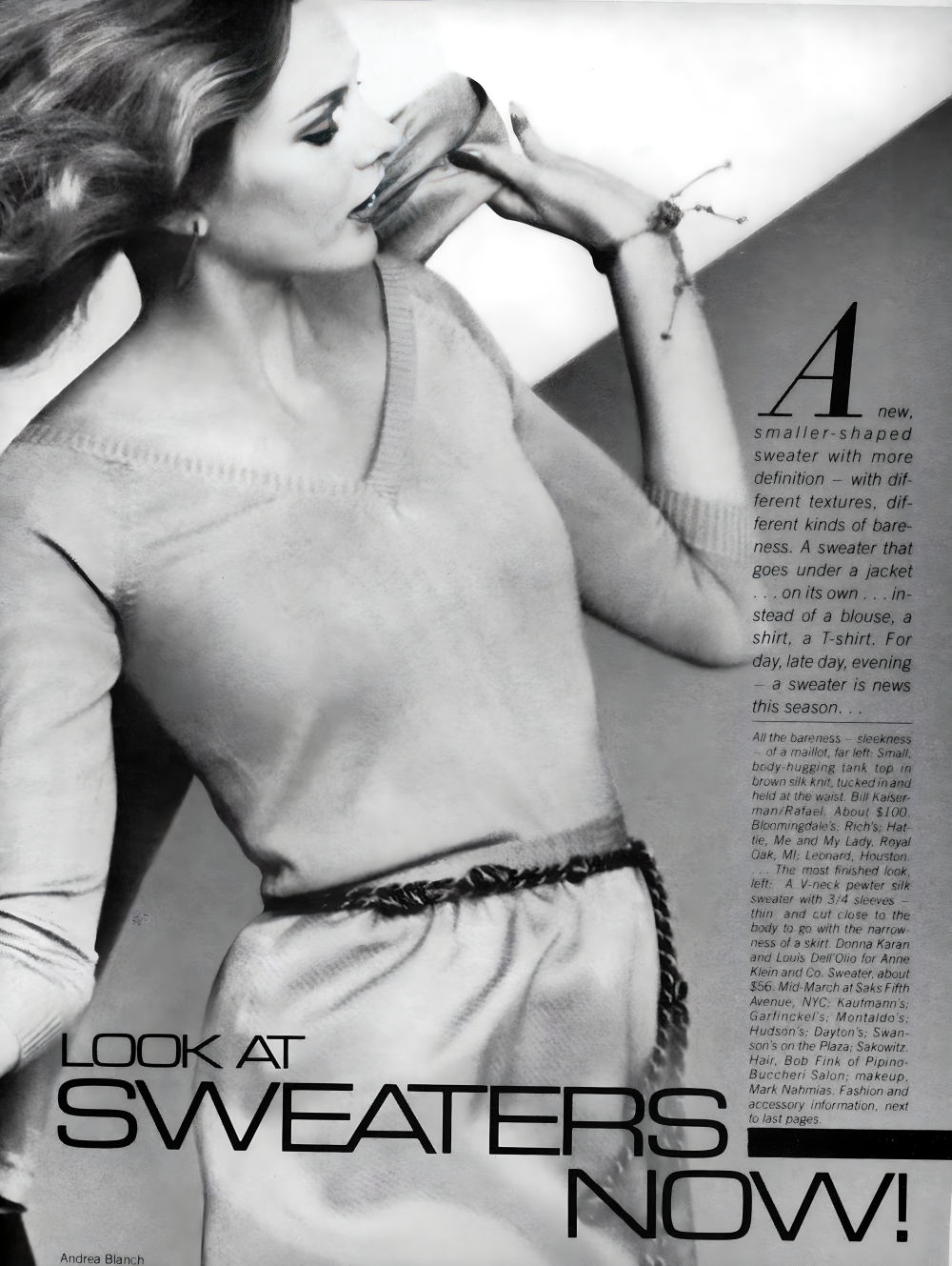 1979 February Vogue US. Michelle Stevens by Andrea Blanch photographer. Bob Fink hair, Mark Nahmias makeup.